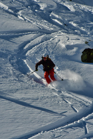Women ski powder top touring speed fun snow. High quality photoの写真素材