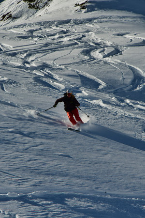 Women ski powder top touring speed fun snow. High quality photoの写真素材