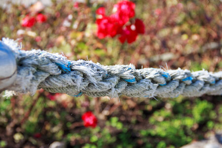 Thick rope with some red flowers behindの写真素材
