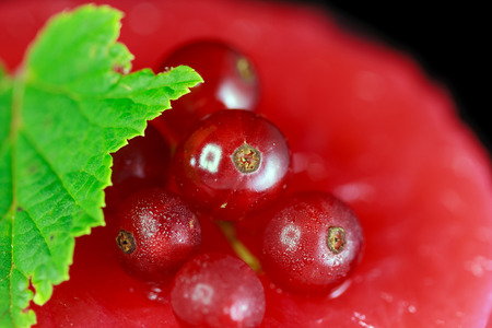 Closeup of a redcurrant cake decorated with berries and a green leaf