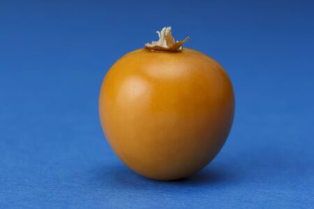 One ripe Physalis fruit against a blue background