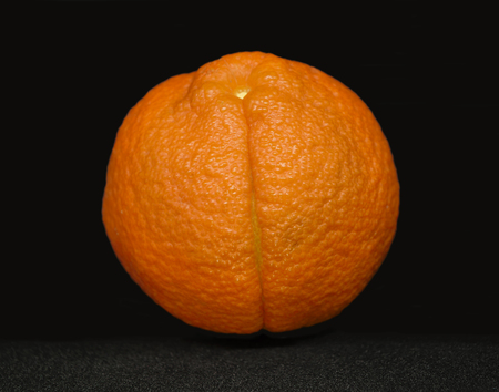 Citrus on a black backgroundの写真素材