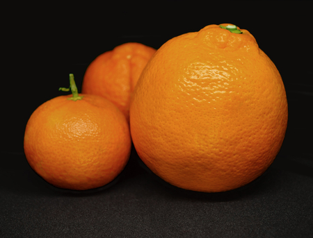Citrus fruits on a black backgroundの写真素材