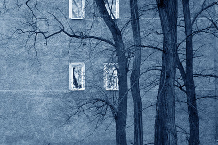 Old leafless trees in front of a wall with four small windows array in blue tonationの写真素材