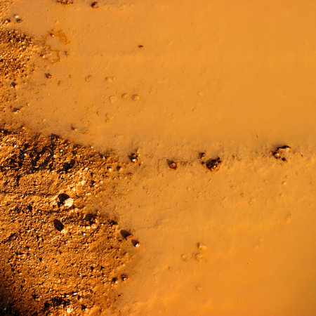 Yellow mud puddle.