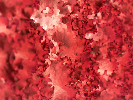Organic red texture.の写真素材