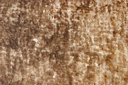 White marble surface covered with bronze dried mud coatingの写真素材
