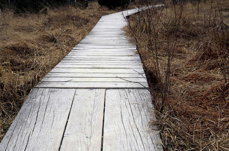 Footbridge into the Moorの写真素材