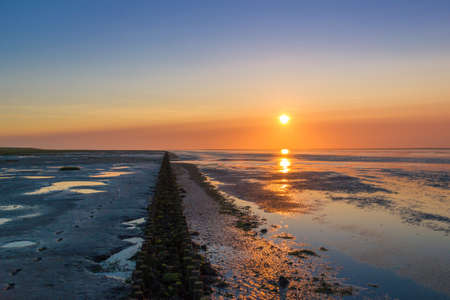 The wadden sea at low tide during sundown. The muddy ground of the tidal flat is widely visible. A laughter, a coastal protection consisting of two rows of wooden stakes and filling material is visible. The German wadden sea is a national park and natural reserve since 1985/1986. It is also a famous travel destination in Germany and Lower Saxony.の写真素材