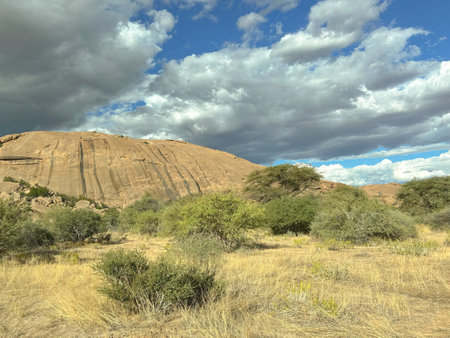 Landscape of a park in Namibiaの写真素材
