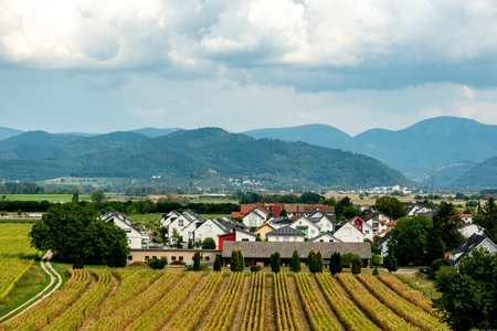 Panorama view of Tunsel, District of Bad Krozingenの写真素材
