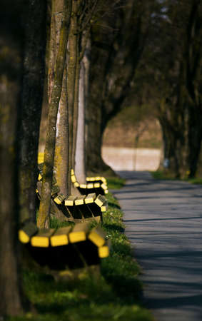 A row of benches in an alley.の写真素材