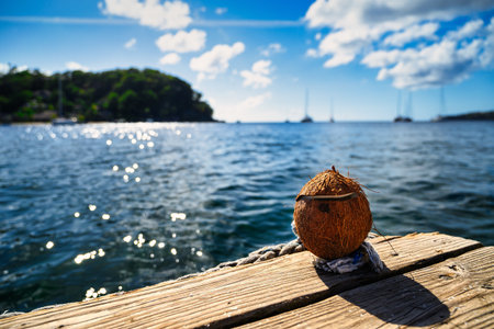 A view of a coconut at the boat dock on St. Vincent in the Caribbeanの写真素材