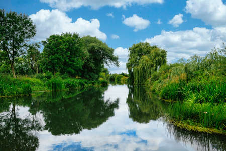 Beautiful landscape river with green trees and bushes on the bank as well as blue sky with cloudsの写真素材