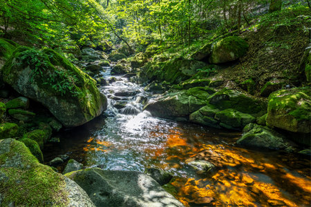 A view of the waterfalls of the river in the mountains