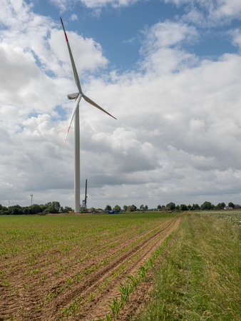 Newly built windmill between fields with corn and cloudy sky