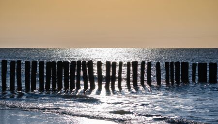 breakwater at cadzand beach at sundown, north sea, netherlandsの写真素材