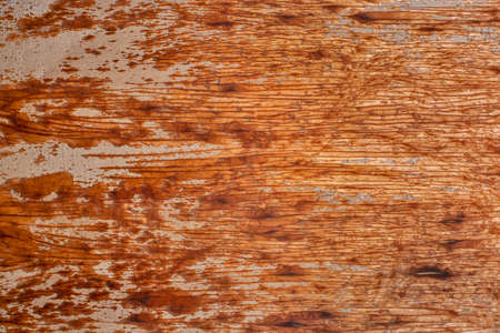 Grunge door wooden natural texture