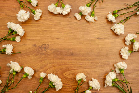 Composition of white Carnations on a brown backgroundの写真素材