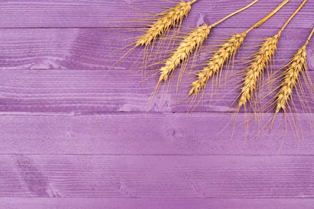 Lilac background made of small wooden boards with wheat ears for decorationの写真素材