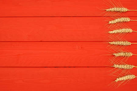 Red wooden background with wheat earsの写真素材