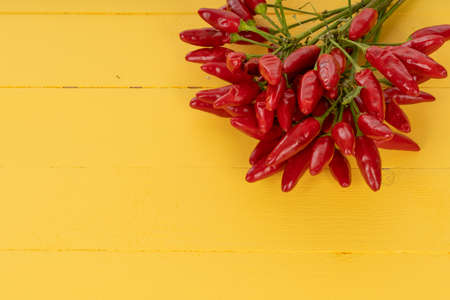 Red chili pepper on yellow wooden background