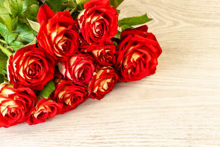 Red roses on white wooden background with copy spaceの写真素材