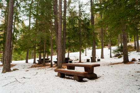 Snow covered benches and tables outdoors in a snowy forestの写真素材