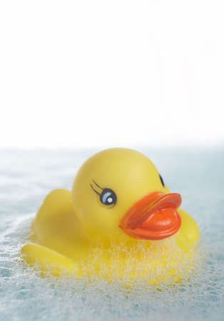 Yellow rubber duck floating in bathtub with copyspaceの写真素材