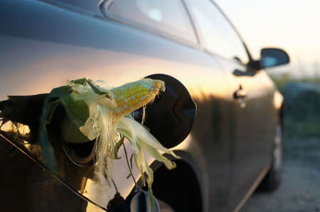 E85 Ethanol Gas corn in in vehicle gasoline tankの写真素材