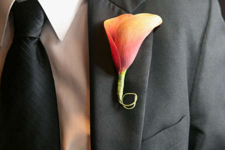 Calla lily wedding boutonniere on suit of groomの写真素材