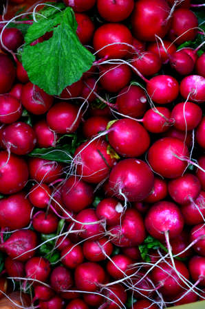 A basket of fresh radishes with some green leaves. Freshly grown.