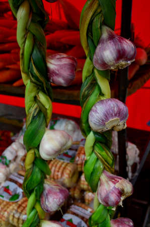 Fresh purple garlic, braided with its branches, hanging on a market shelf with carrots and cookies in the background.の写真素材