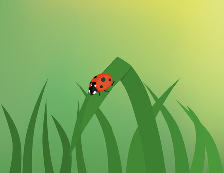 Ladybug on grass blade with gradient mesh background.のイラスト素材