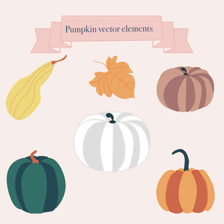 Colorful pumpkins icons. Vector elementsのイラスト素材