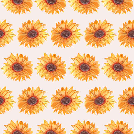 beautiful sunflowers in a seamless pattern designの写真素材