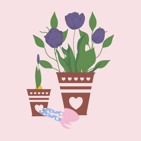 purple tulips im pots, vector illustrationのイラスト素材