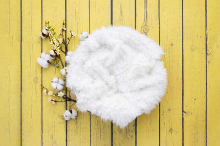 Newborn digital backdrop/background on pink/yellow wooden planksの写真素材