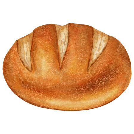 Watercolor illustration of a soft, round loaf of white bread. Bakery products. Perfect for bakery...