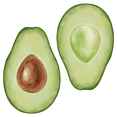 A set of hand-drawn watercolor illustrations of avocado halves, pitted and unpitted. Perfect for...