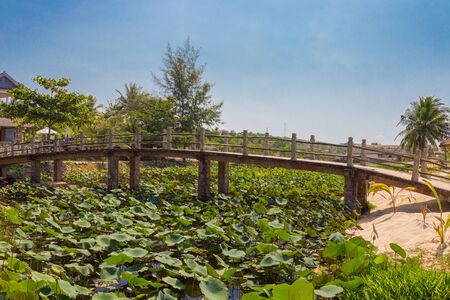 bridge over the lotus pond on the island of Phu Quoc Viet の写真素材