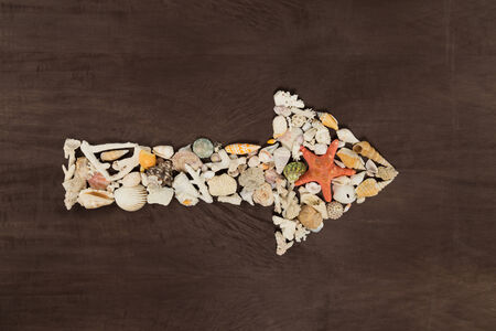 arrow from seashells and red star on a wooden background の写真素材