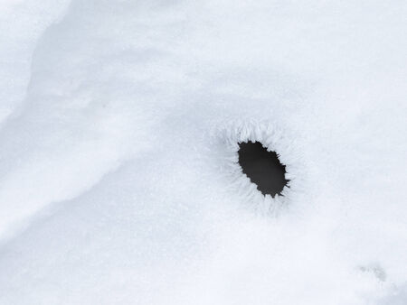 hole of white crystals of ice in the snowの写真素材