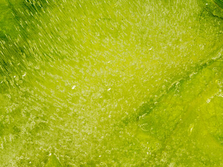 bright beautiful green abstraction of the many air bubbles and organicの写真素材