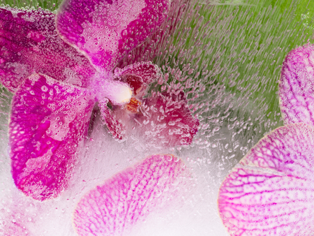 abstraction of beautiful purple orchid in water with bubblesの写真素材