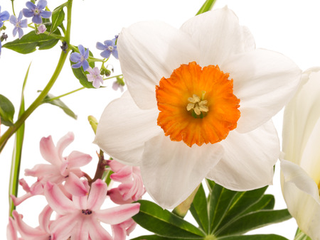 beautiful delicate fragile flowers and green leaves are collected in a spring bouquet on a white backgroundの写真素材