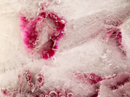 Frozen beautiful bright purple abstraction of water, flowers and bubbles of airの写真素材