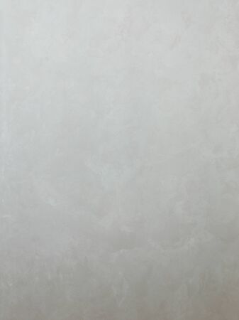 the wall surface with a gray textured beautiful stylish silk decorative plasterの写真素材