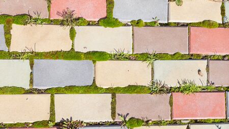 old garden path of colored brick with dents, bumps and spots and joints are filled with soft green...