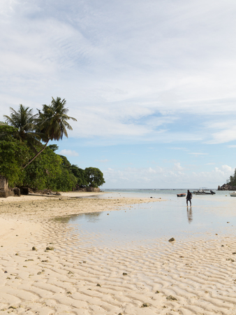 Seychelles - 10 November 2014: Low tide on the island of Mahe and the fisherman walks through the shallow water November 10, 2014, Mahe, Seychellesのeditorial素材